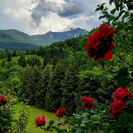 Cabana Dochita Ceahlău Exterior foto